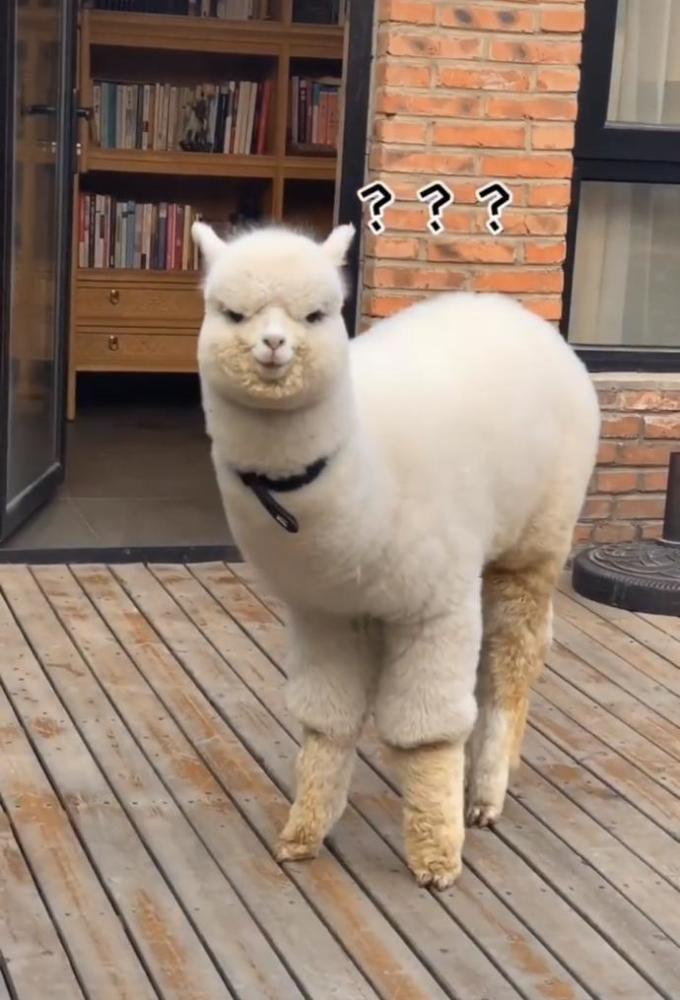 其实刘辉并不是这位妹子的名字,她也更不是商店老板(或者老板娘).