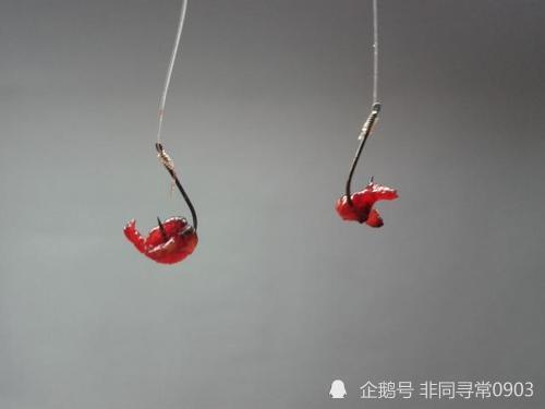 冬季野钓鲫鱼看不到顿口?调整好细节,再小的动作也能抓住