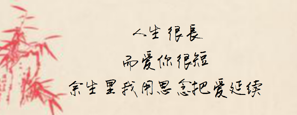 又过去了一年人生很长而爱你很少