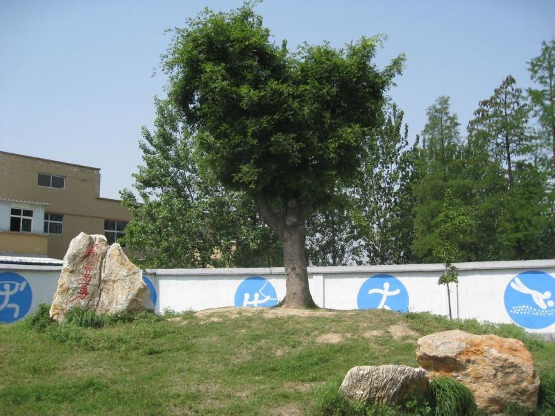 信阳第一产业gdp_信阳光山第一美女(2)