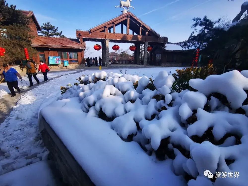 跑马岭齐鲁雪乡元旦正式开业,这才是冬天该有的样子!