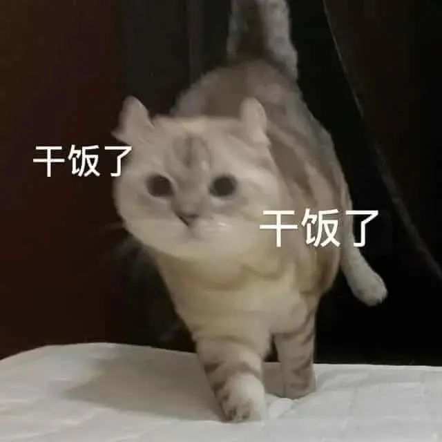 你知道你的小可爱走的是什么风吗