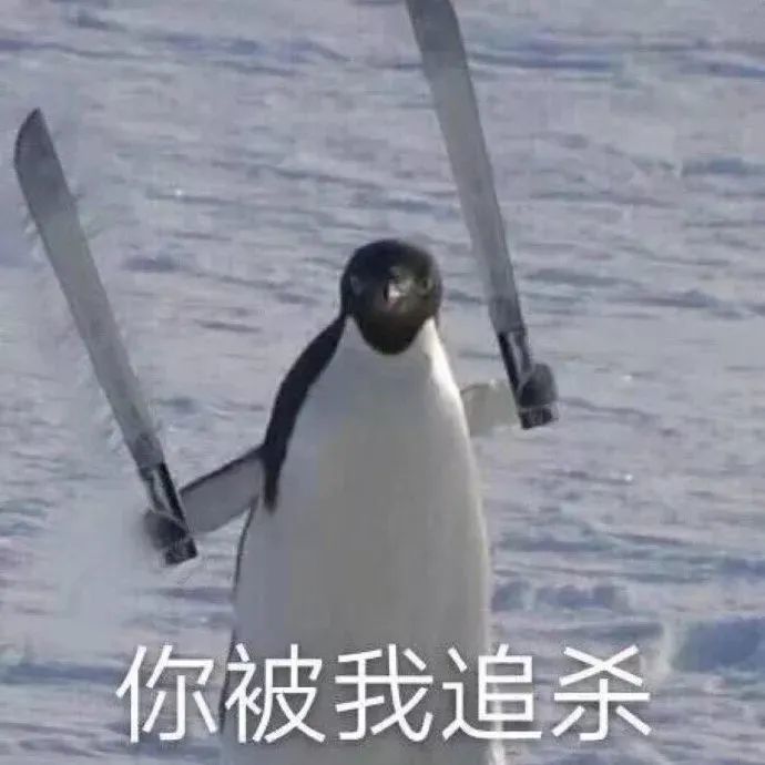 麻了彻底麻了