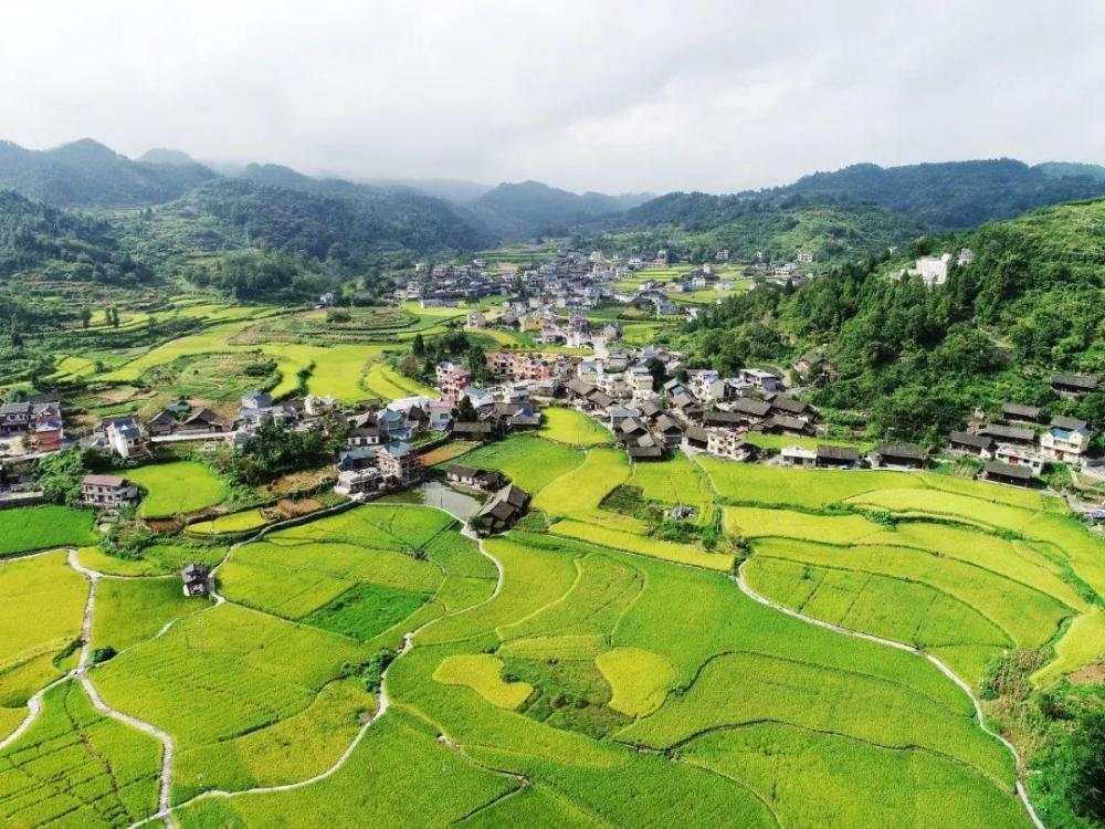 农村飞速发展的同时,有5个问题不容忽视,专家:一针见血