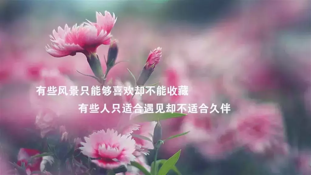 感悟人生的经典哲理短句 适合发朋友圈的说说心情短语