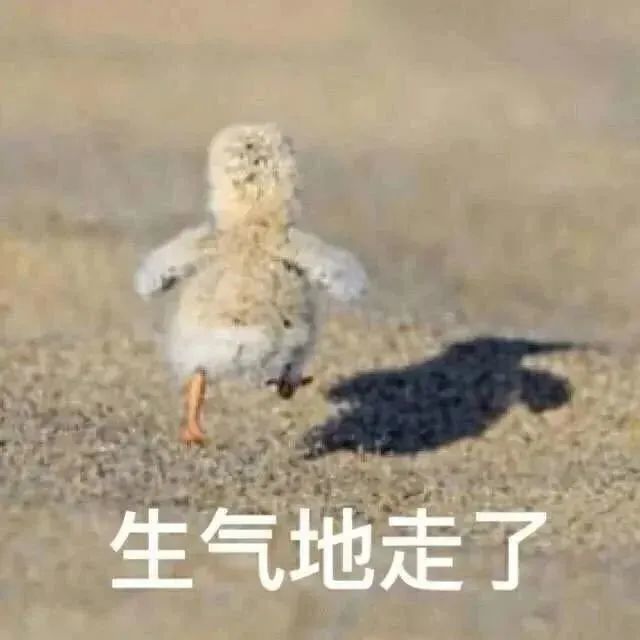 【表情包】什么段位啊,对我指手画脚!