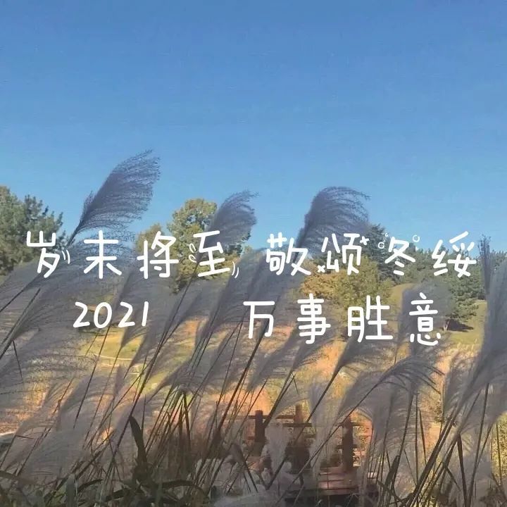 愿新的一年仍有阳光满路温暖如初