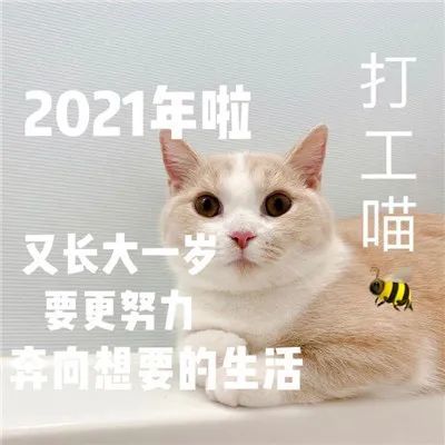 【表情包】2020再见,2021我来了