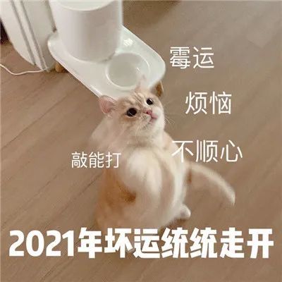 【表情包】2020再见,2021我来了