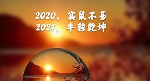 2020实鼠不易,2021牛转乾坤