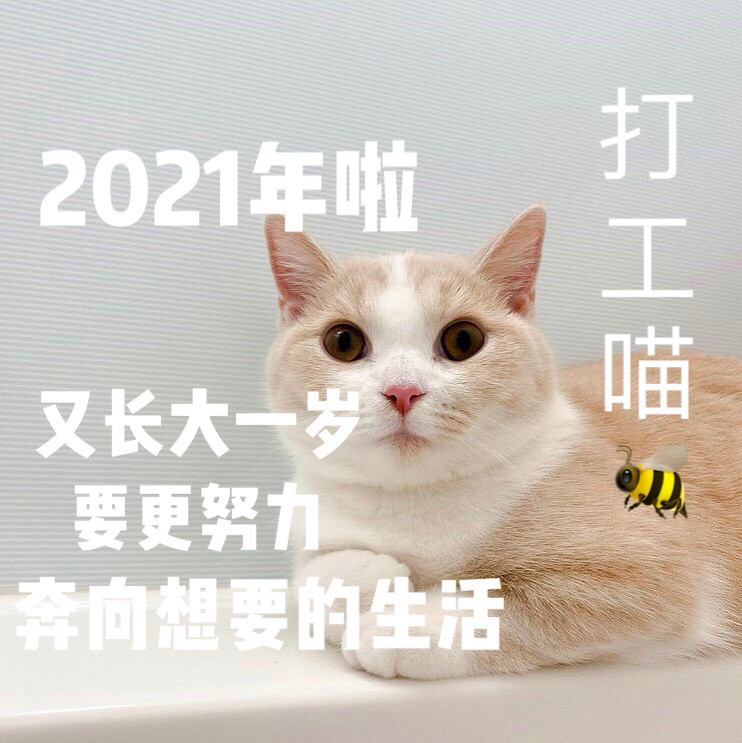 萌宠表情包:2021年都来了,男朋友你怎么还不来?