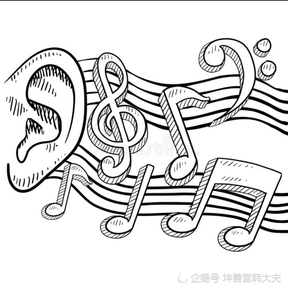 耳朵与五音的故事