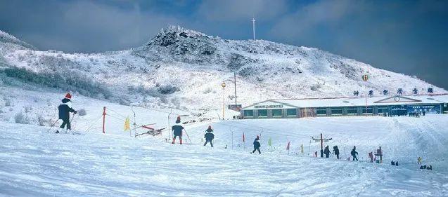 神农架龙降坪国际滑雪场 全湖北唯一夜场滑雪场 龙降坪是神农架唯一