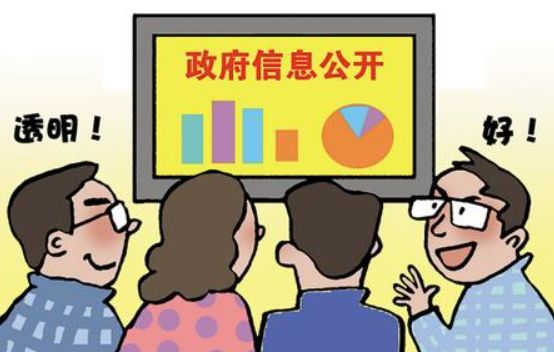 史律师揭秘政府信息十大不公开理由及应对策略