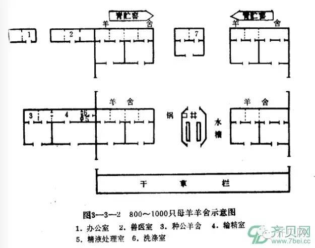 养羊场设计图|千头母羊羊舍设计图