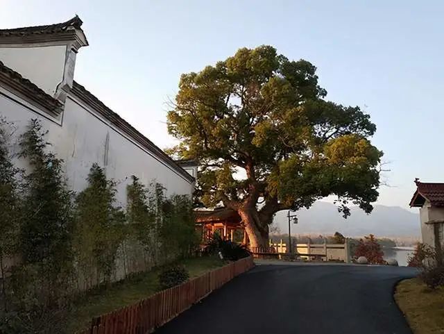 浙江富阳这8个绝美古村落,是你不可错过的身畔风景