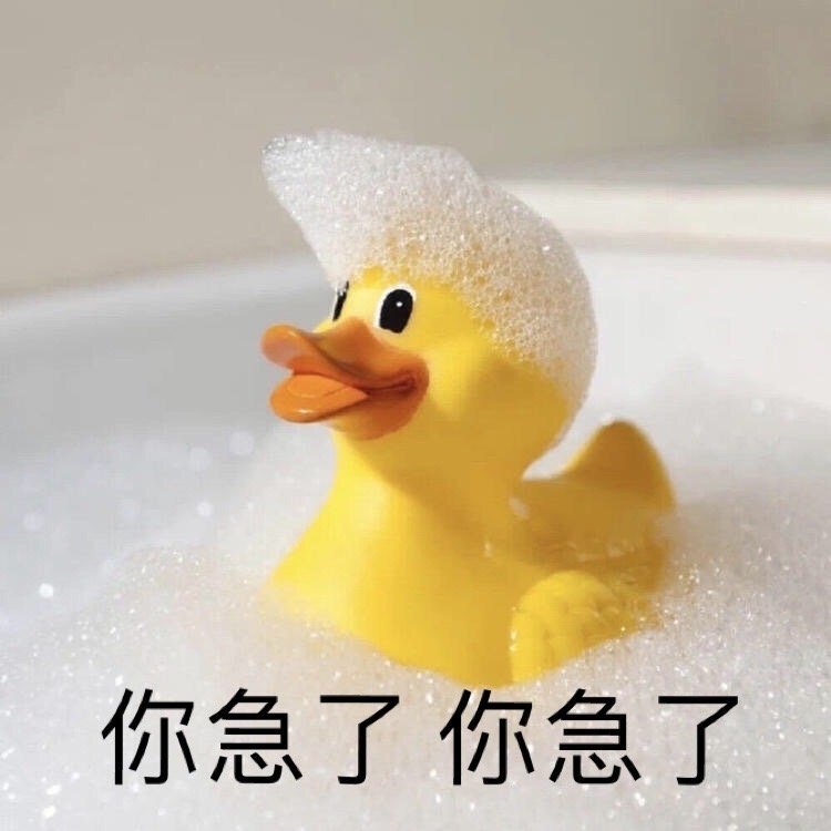 萌宠表情包:摸摸头,小乖乖!