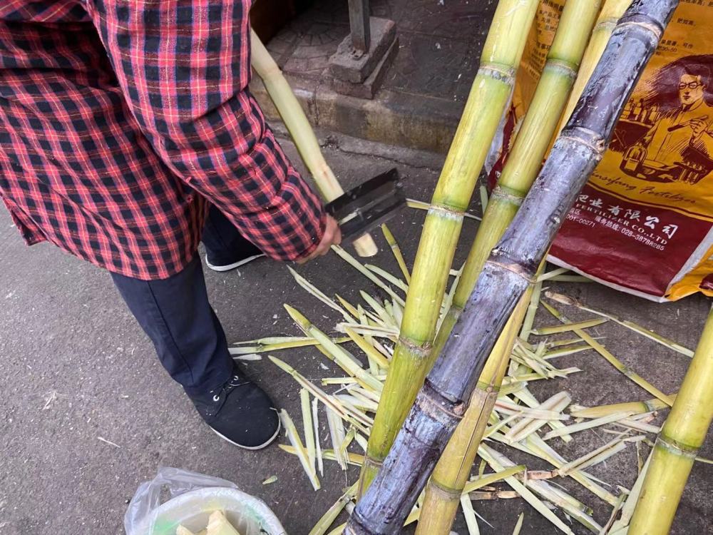 买甘蔗,挑细的还是粗的?牢记3不买,美味不浪费