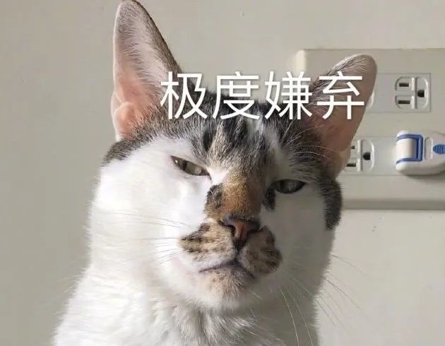 表情包:我要闹了,我已经开始闹了