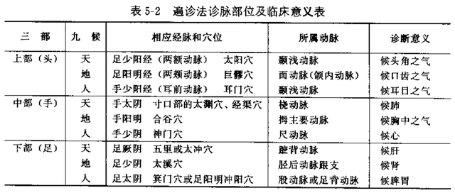 遍诊法《素问·三部九候论》是对头(上,手(中,足(下)三部动脉