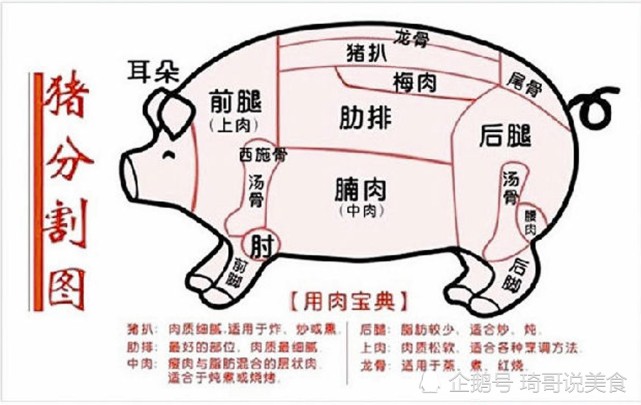 猪肉检疫红蓝印章,代表什么,为啥洗不掉,吃了对身体有