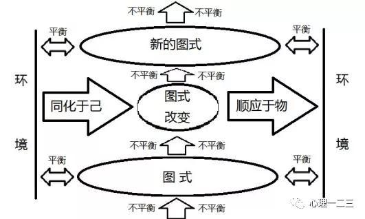 同化本来是生物学的概念,皮亚杰借指个体把新鲜刺激纳入原有的图式之