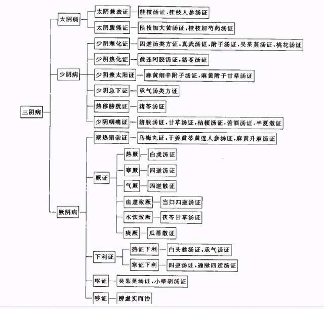 一文搞懂伤寒论六经辨证的主要内容