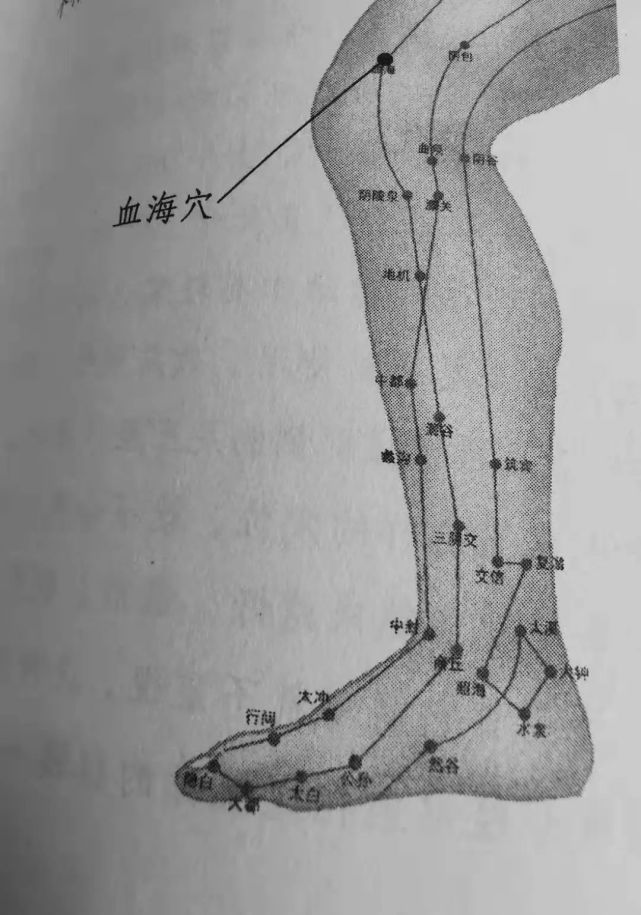 补血实用技巧用血海穴补血