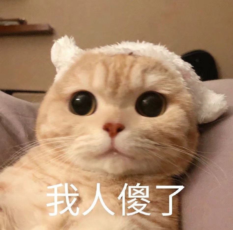 表情包可爱的小猫咪