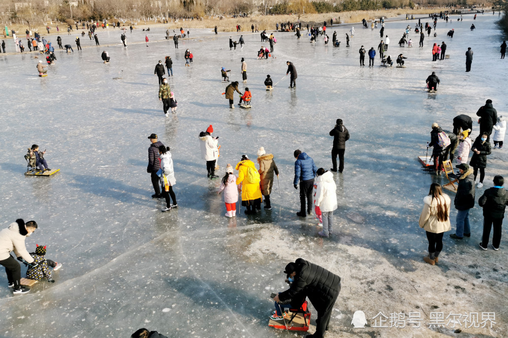 2021年1月3日,众多市民在大连前关湿地公园结冰的湖面上溜冰,滑冰车.