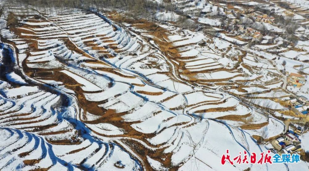 近日,雪后的积石山县刘集乡,层层梯田,皑皑白雪,构成了一幅美丽的冬日