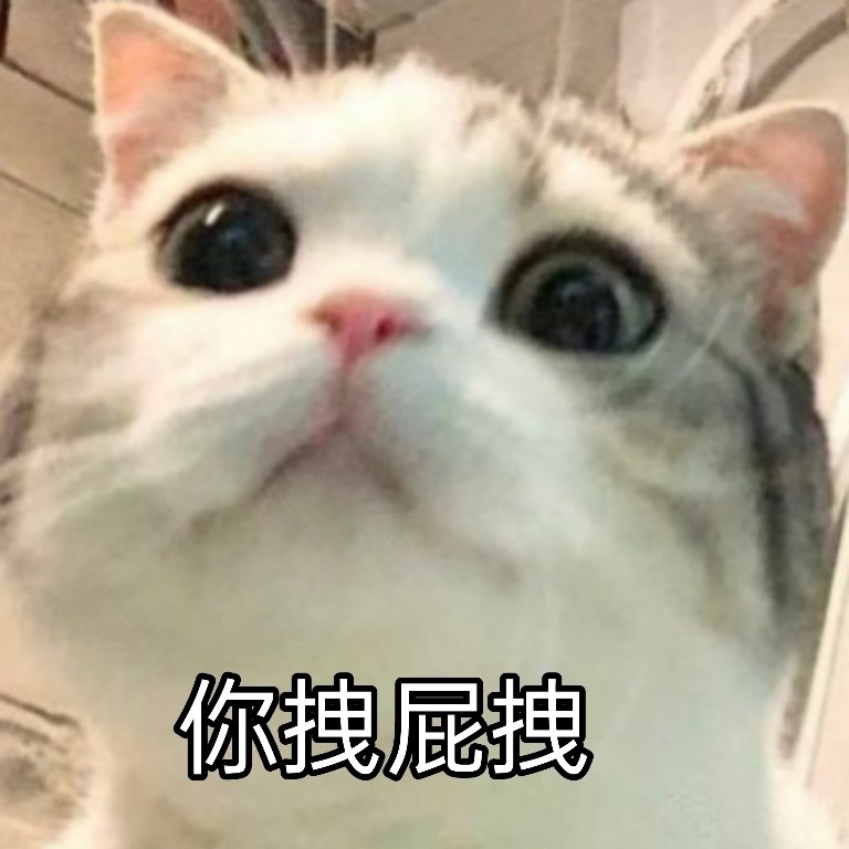 猫咪表情包‖香香软软的小泡芙专场～今天是甜甜的小猫咪鸭