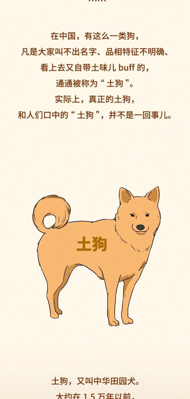 "说土狗土的,那你们是没看过这个"