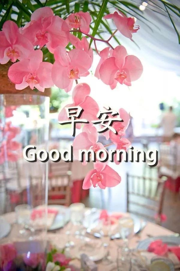 2021激励自己图片,2021做最好的自己图片 2021早安励志图片句子,致拼博路上的自己!