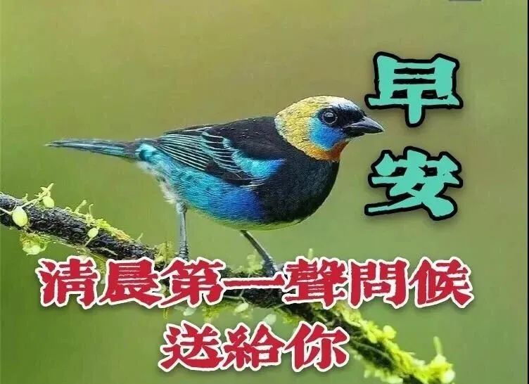 新的一周开始:天气变冷好好保重身体,注意保暖;没有好的身体,一切就