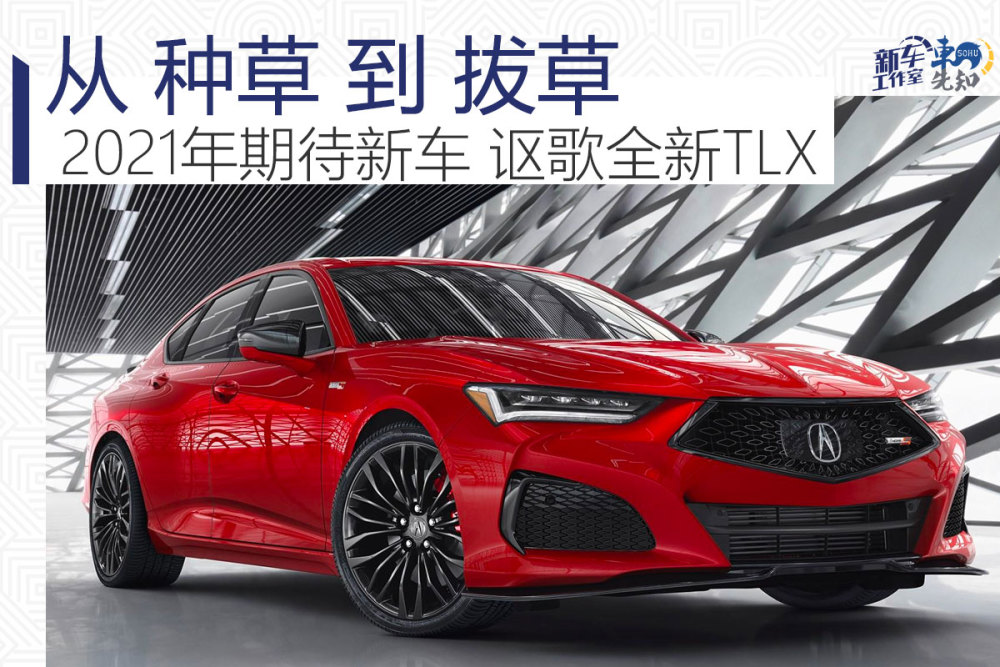 2021款讴歌tlx国产,讴歌tlx2021平行进口车 2021年编辑期待的新车——讴歌全新tlx 从种草到拔草
