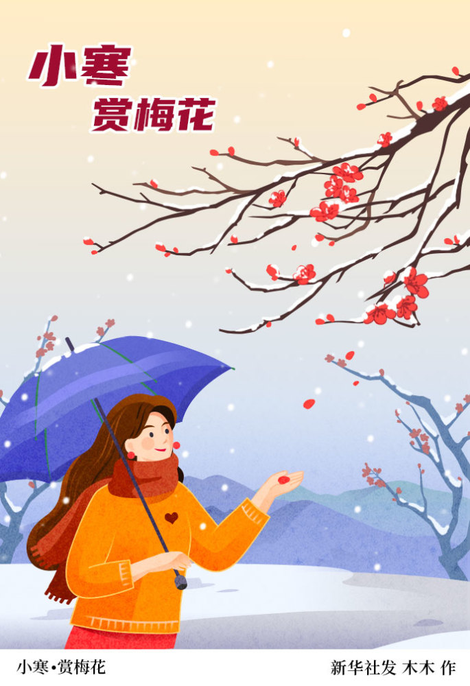 (图表·插画)【二十四节气·小寒】小寒·赏梅花