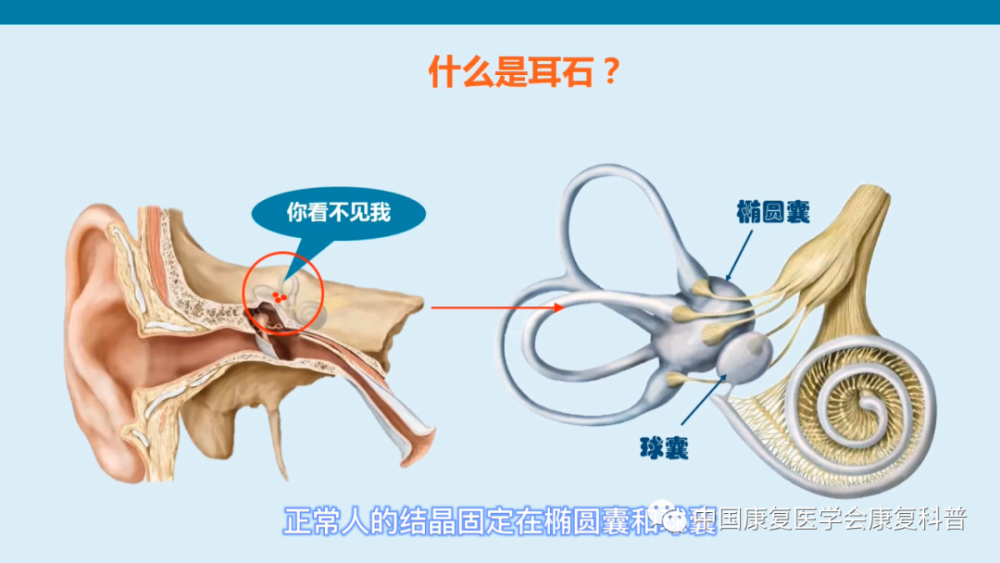 王俊凯缺席跨年夜,竟是得了"耳石症,你知道如何康复吗?_腾讯新闻