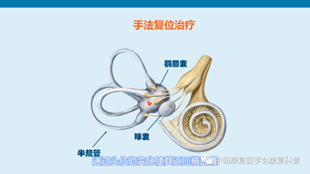 王俊凯缺席跨年夜,竟是得了"耳石症",你知道如何康复吗?