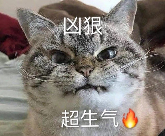 表情包:凶狠,超生气