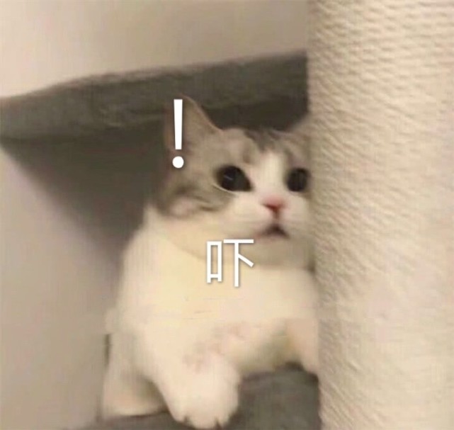 表情包:凶狠,超生气