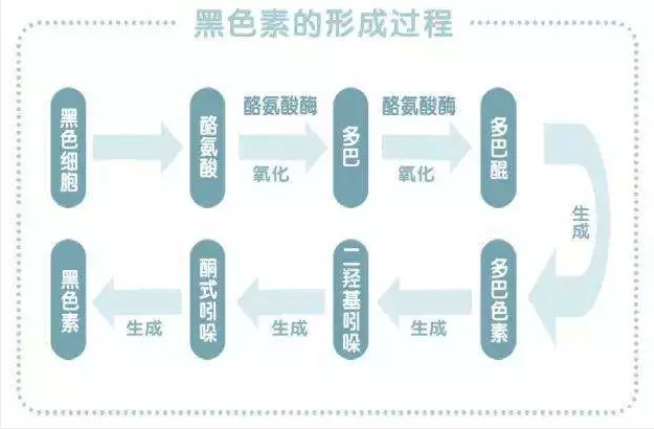 你真的了解黑色素形成原因吗?无斑时代新科技诠释