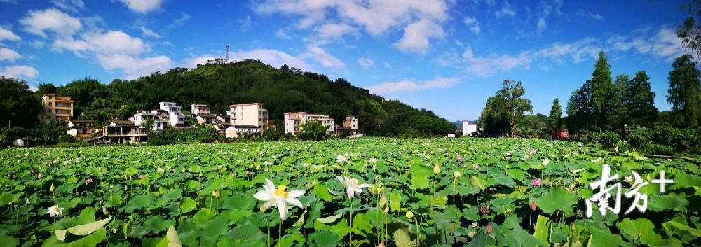 郁南桂圩镇龙岗村将评为省文化和旅游特色村,好犀利!