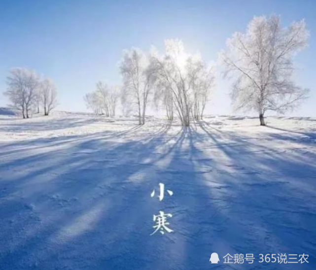 小寒将至,俗语"小寒雪淋头,瓮里米生虫",啥意思?