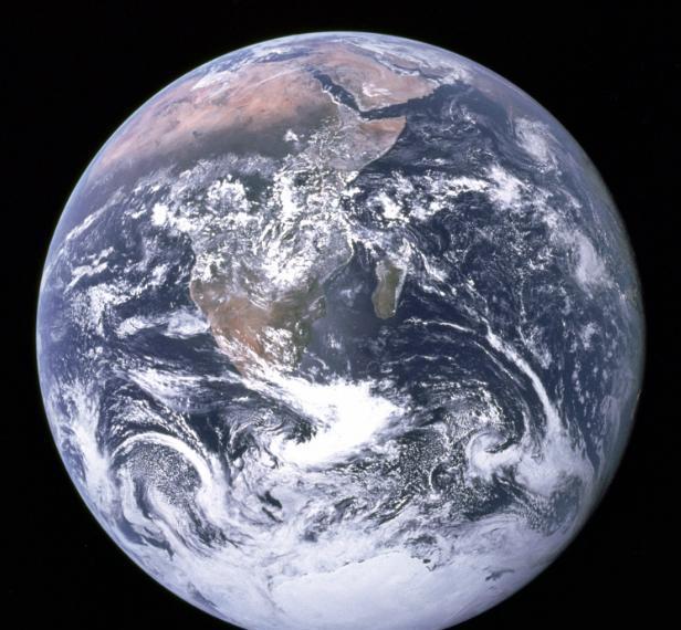 地球上的第二种人即人科动物原始人类因人类捕杀正濒临灭绝