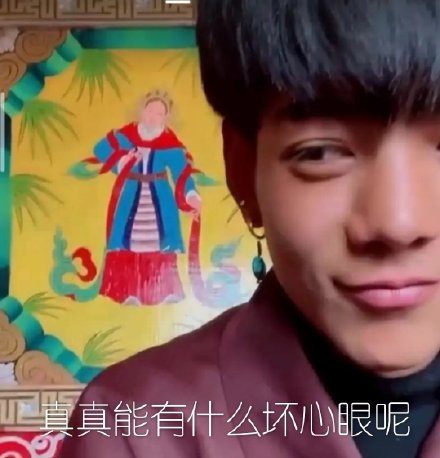 表情包:真真能有什么坏心眼呢
