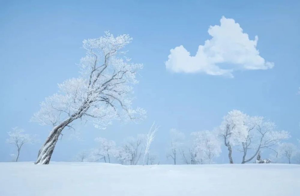 最适合下雪天发朋友圈的诗句,唯美又浪漫!(赶紧收藏)