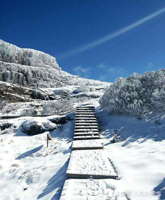 7,昭通大山包,雪中的黑颈鹤跳墩湖,仙人田,仿佛置身画中