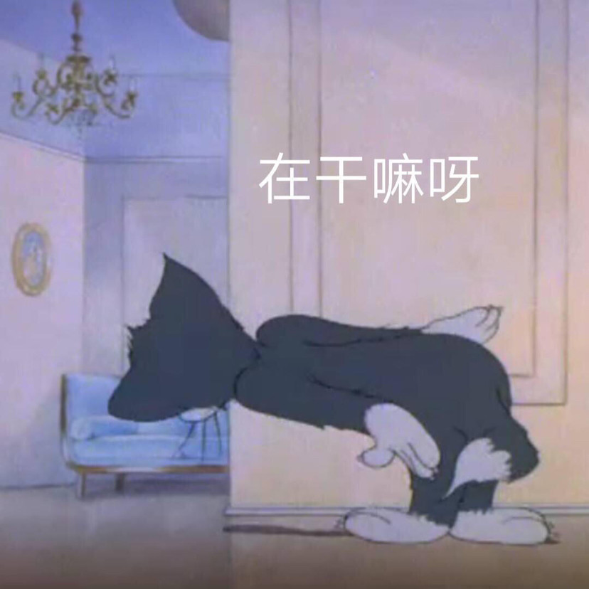 猫和老鼠表情包:在干嘛呀
