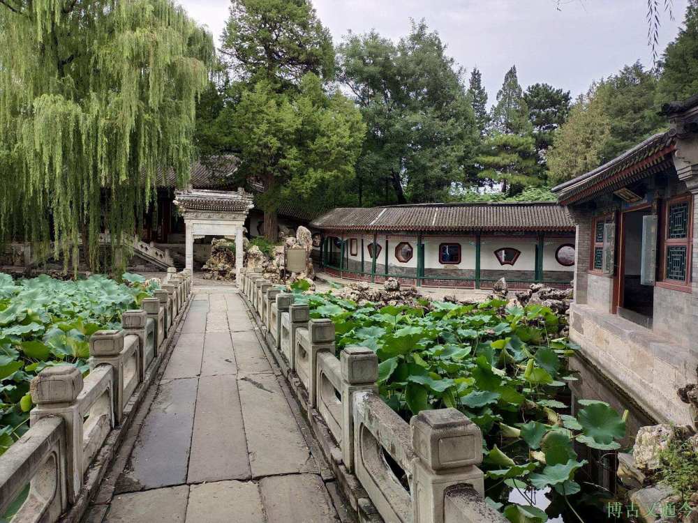 游三山五园之颐和园谐趣园满池荷花别样的午后光影